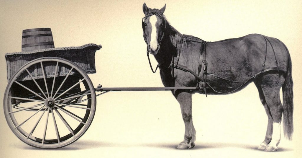 cart_before_the_horse1
